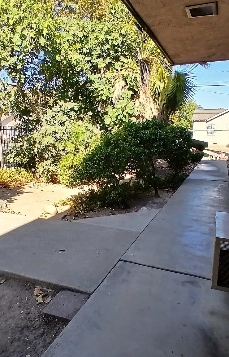 1 bed, 450 sqft, $1,200 — Photo 2