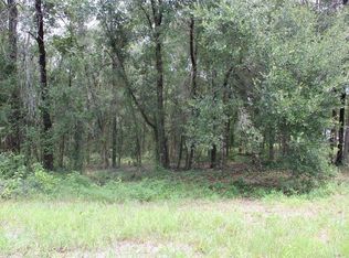 Hamilton Avenue Lot #1, Orange City, FL 32763
