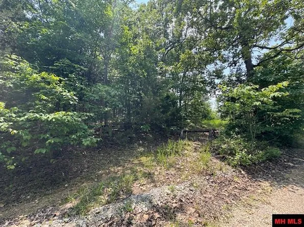 46 Worthen Dr, Mountain Home, AR 72653