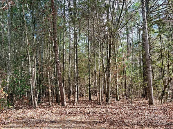 99999 Heather Ln, Fairview, NC 28730