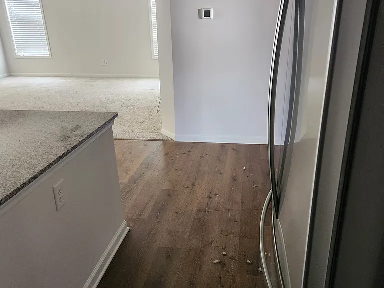 257 Cassingham Ln — Photo 8