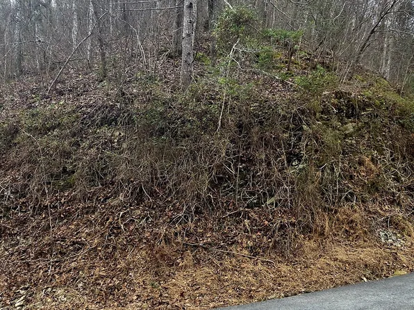 LOT 6 Wildcat Ridge Rd, Sevierville, TN 37862