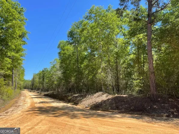 0-2B Farmers Rd, Alamo, GA 30411