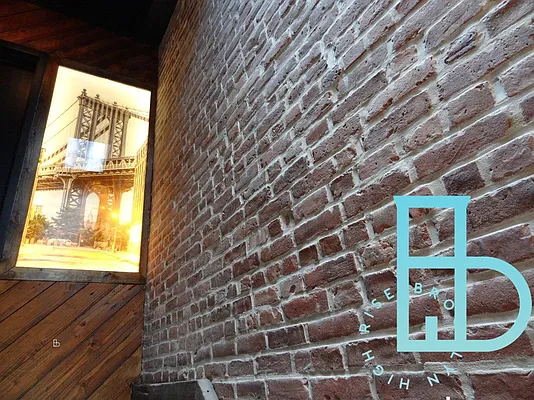 Rented by Brooklyn High Rise LLC | media 20