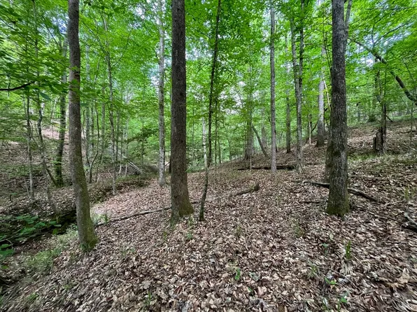 106 Highway, Brantley, AL 36009