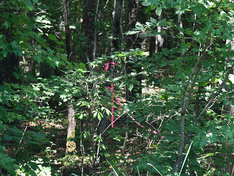 1st image of 260 Gade Bryant Rd