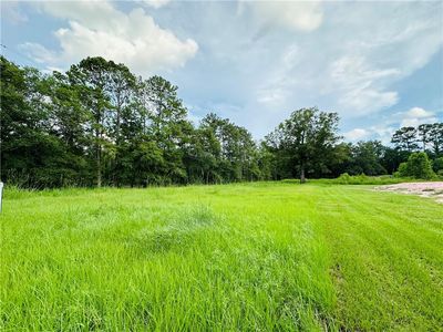 25456 Harvey Lavigne Rd, Ponchatoula, LA, 70454