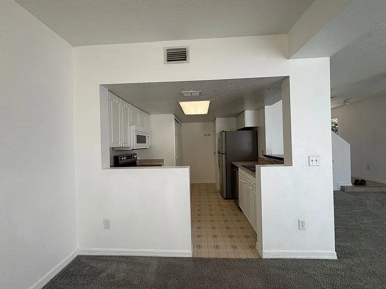 307 Coconut Palm Way — Photo 10