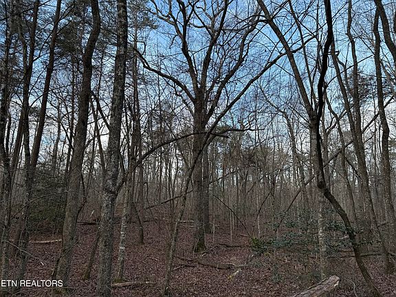 5th image of N Laurel Loop