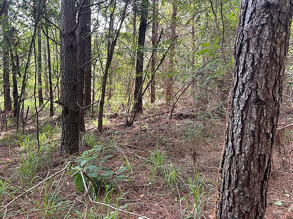 2nd image of 0 County Road 2242