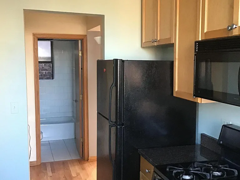 45 N Paulina St #3 — Photo 18
