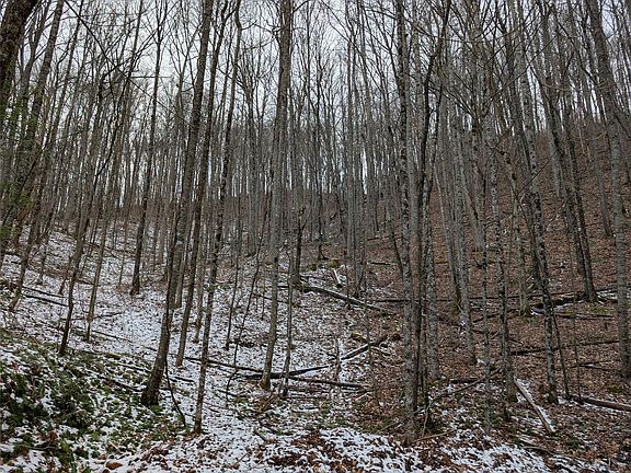 4th image of lot 3 Black Gap Road