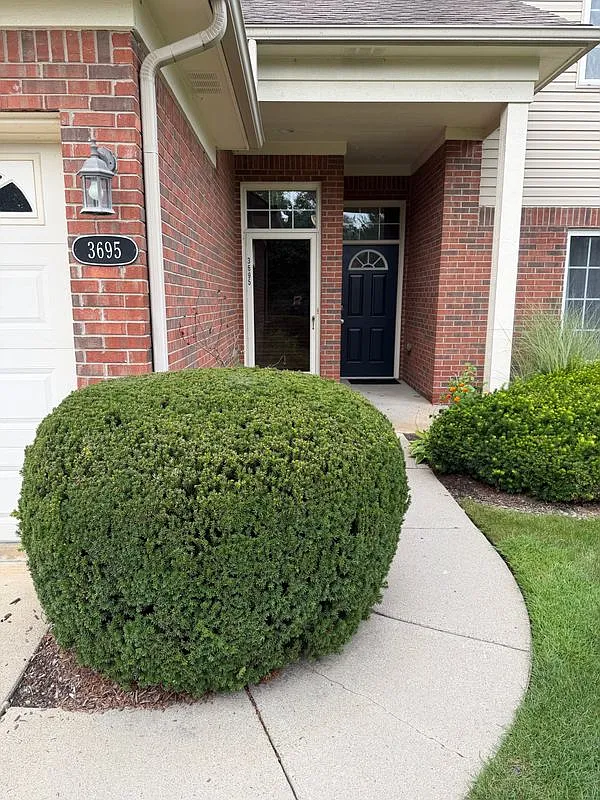 2 bed, 2.0 bath, 1515 sqft, $3,000 — Photo 2