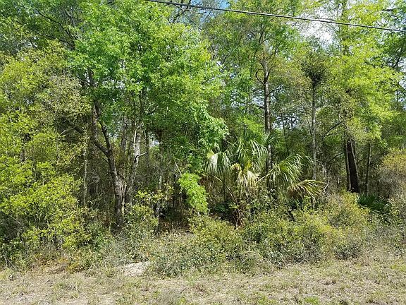 3rd image of 8325 N Ocoee Ter