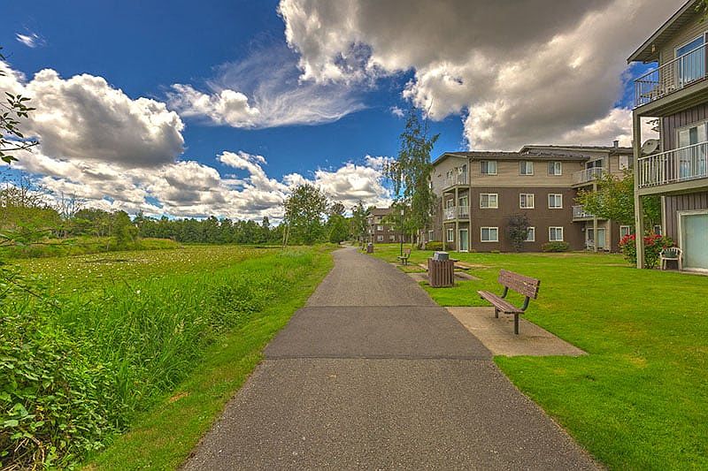 Walking Paths and Resting Benches