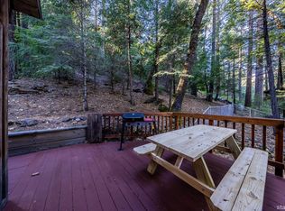 1393 Silver Fork Rd, Kyburz, CA 95720