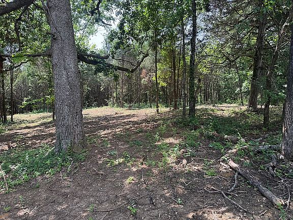 5th image of 255 Norris Loop