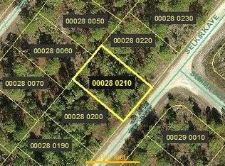 358 Selkirk Ave, Lehigh Acres, FL 33974