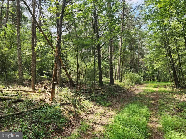 Burd Ln, Augusta, WV 26704