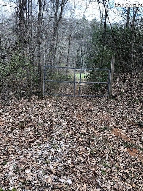 2nd image of 0 Toe River Trail