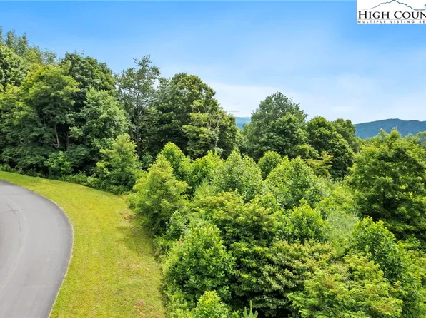 TBD Buffalo Nvno Drive, Zionville, NC 28698