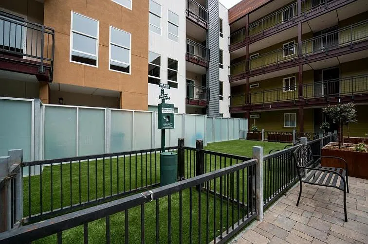 Pinefino Apartments — Photo 8