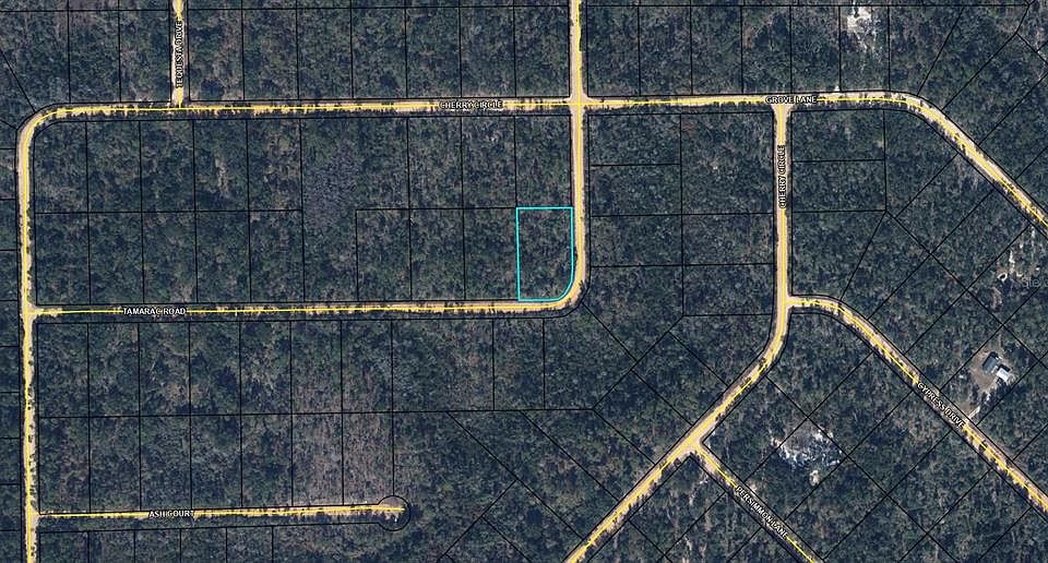 2nd image of TBD TAMARAC ROAD LOT 11