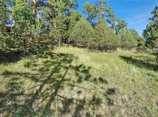 Bob Cat Trail, Bailey, CO 80421