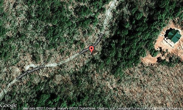 Map View