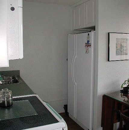 Fridge Galley Kitchen View