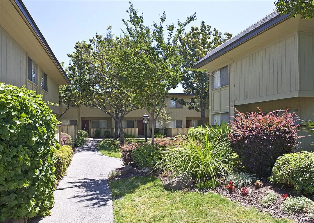 Sheila Garden — Photo 2