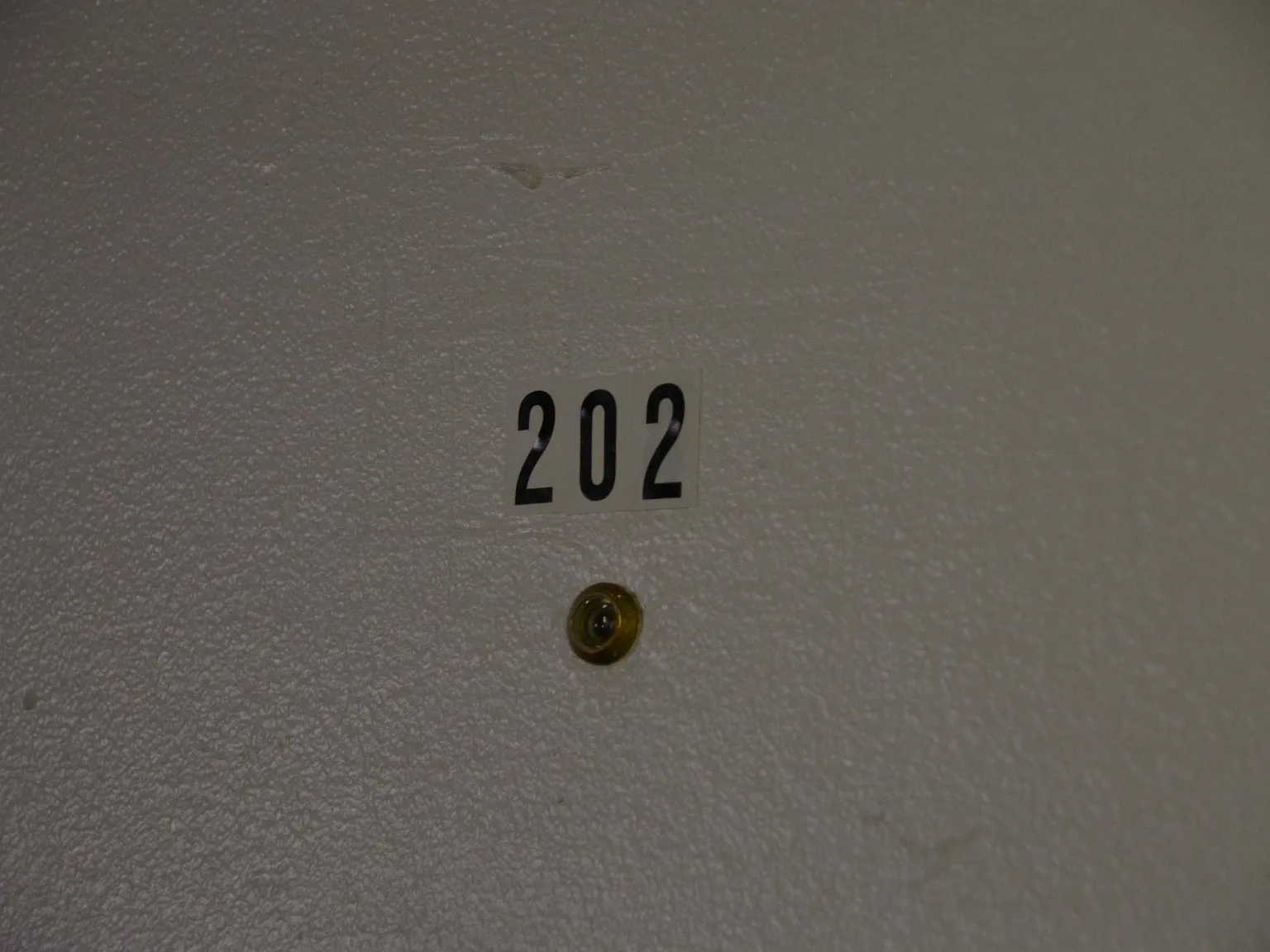 2 bed, 100 sqft, $1,300 — Photo 1