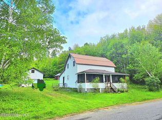 221 Fish Mountain Rd, Lake Pleasant, NY 12108