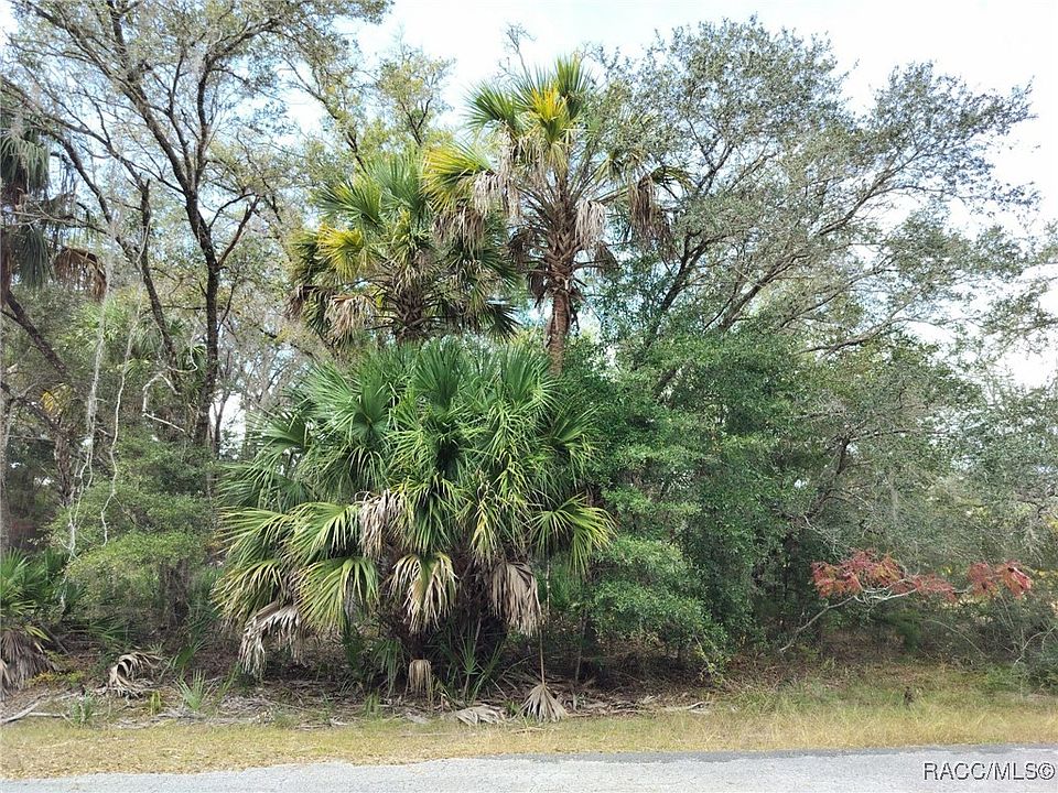 1st image of 9999 N Snowball Point