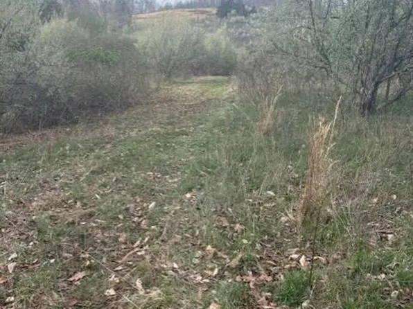 Sulphur Springs Rd, Jonesville, VA 24263