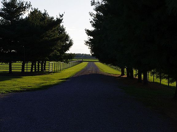 Mature trees surround house.