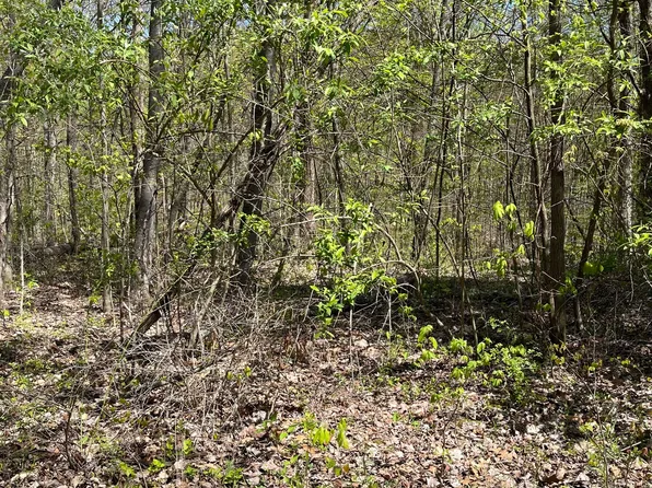 0 Clay Lick Rd, Nashville, IN 47448