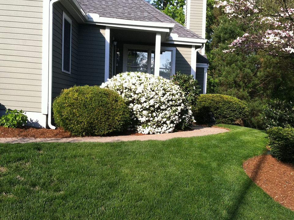 2nd image of 284 Bishops Forest Dr