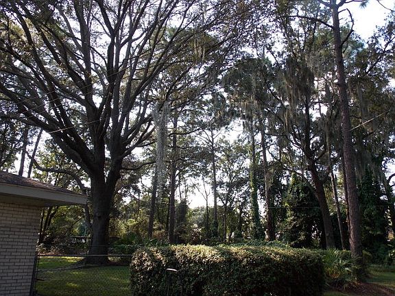 4th image of 395 Lake Circle Dr