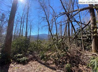 Tbd Tweetsie Ln, Banner Elk, NC 28604