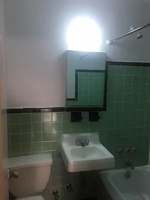 Rented by Eric Goodman Realty Corp | media 16