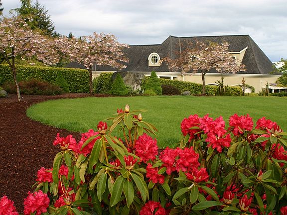 Front lawn and garden