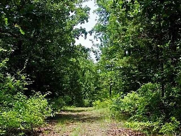 3rd image of 301 & 360 County Road 2754