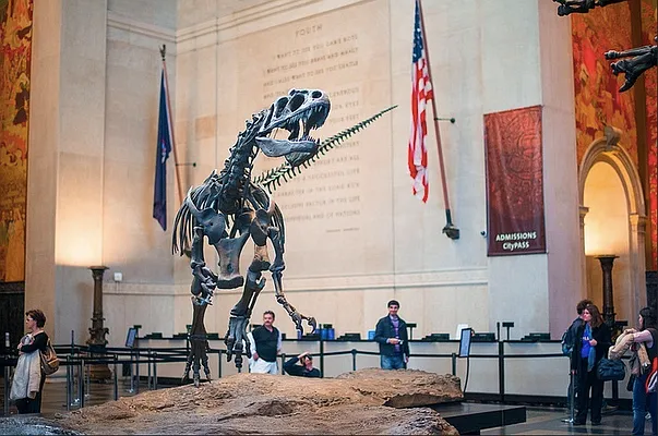 Rented by Compass | media 26