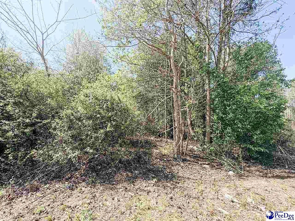 2nd image of Judsons Mdw