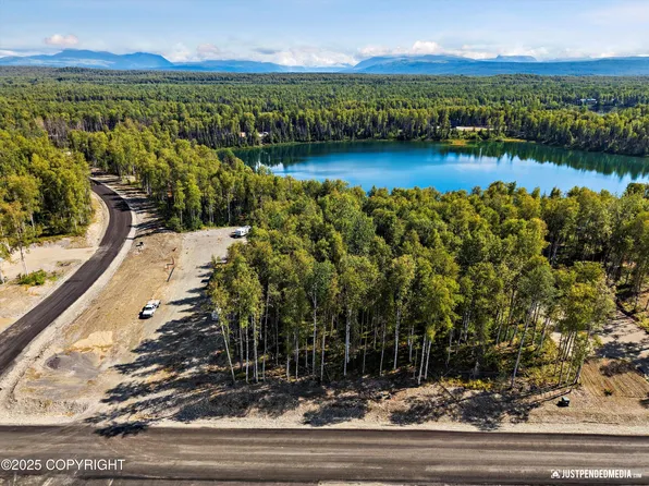 46545 S Fishermans Hop Rd, Willow, AK 99688