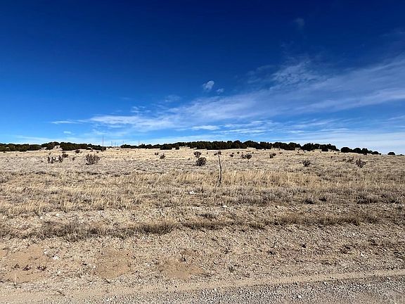 5th image of LOT 121 County Road 113