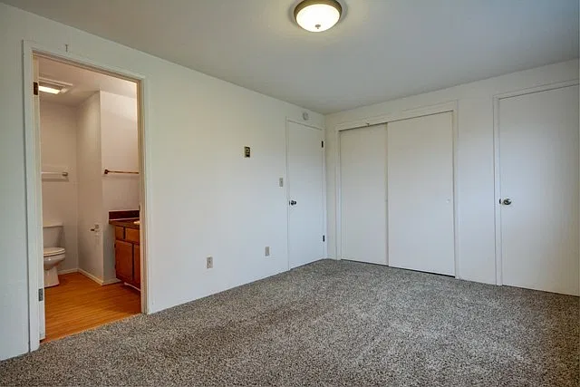 Alpine Village Apartments — Photo 4