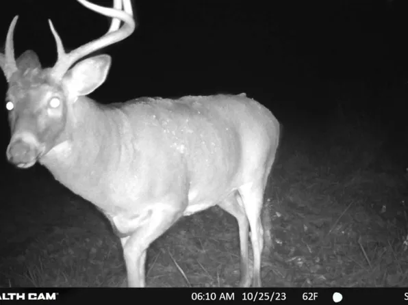 N8438 9th Avenue S, New Lisbon, WI 53950