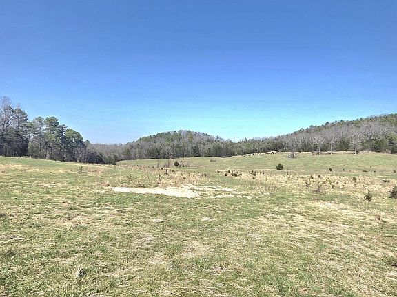 5th image of 311 Rockhill Rd
